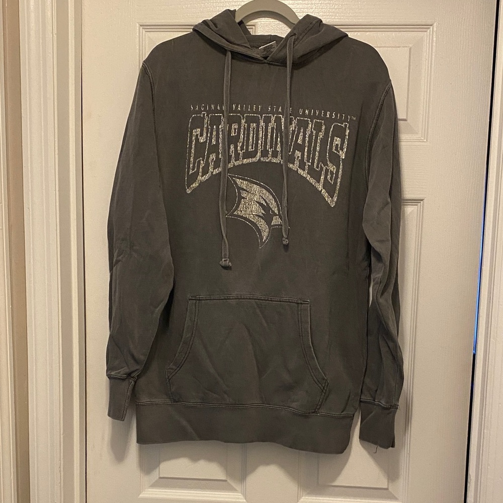 Gray Men's Hoodie